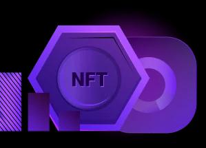 NFT Holder data